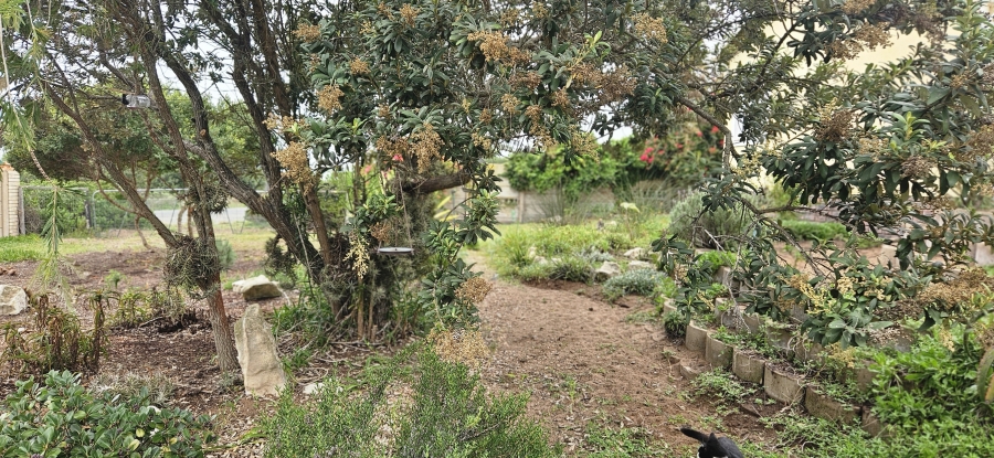 2 Bedroom Property for Sale in Stilbaai Wes Western Cape